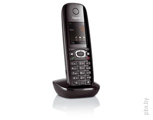 Изображение товара &laquo;Дополнительная беспроводная DECT трубка Gigaset C59H black&raquo; №3